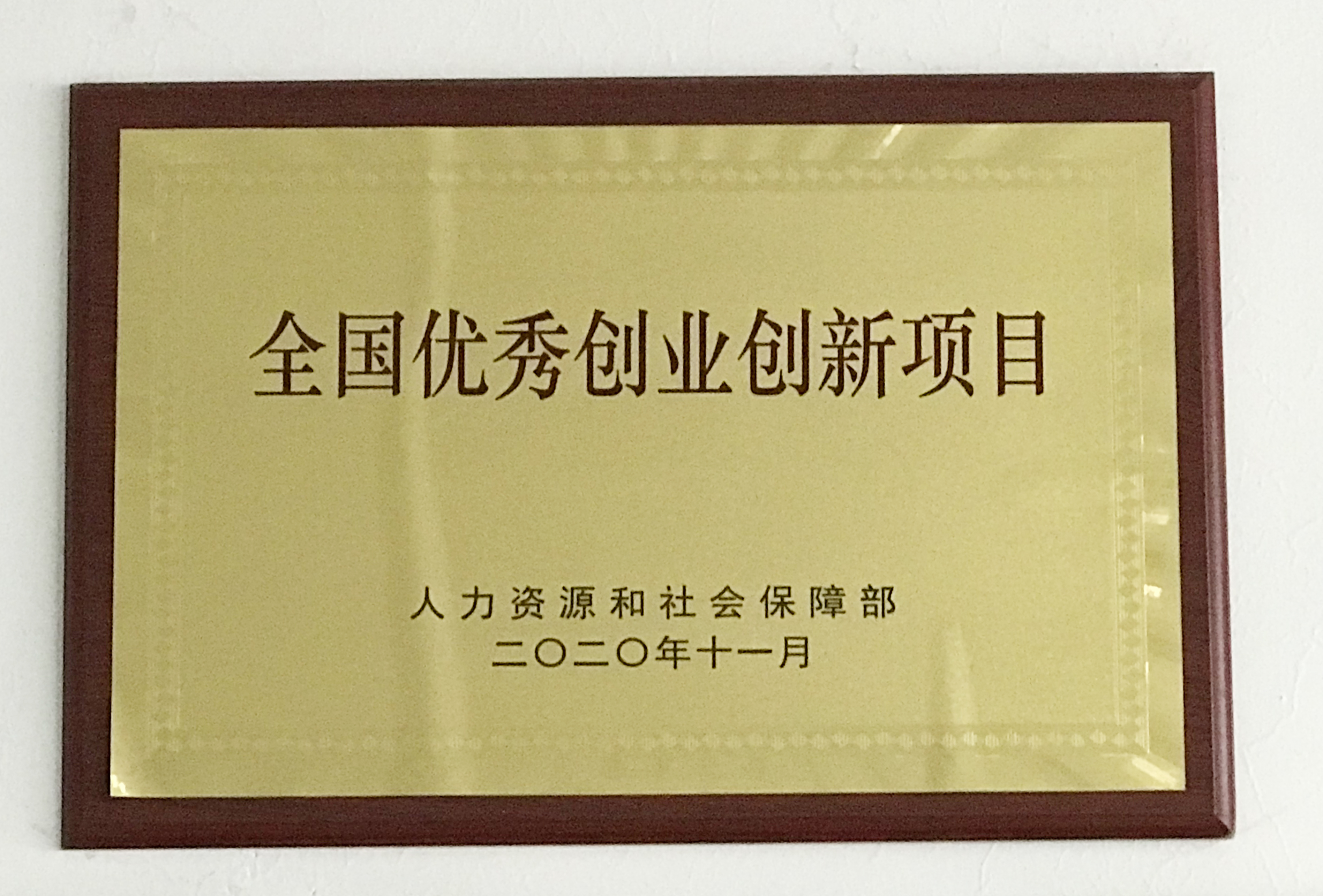 全国优秀创新创业项目 拷贝.jpg
